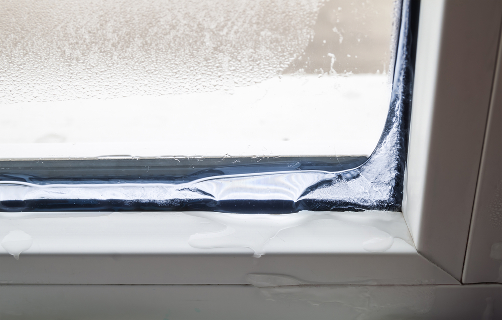 Cold Weather Window Care 101